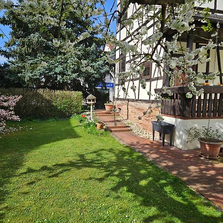 Apartments Am Saalebogen Mit Gartenterrasse, Grillkamin, Freie Parkplaetze Rudolstadt Esterno foto