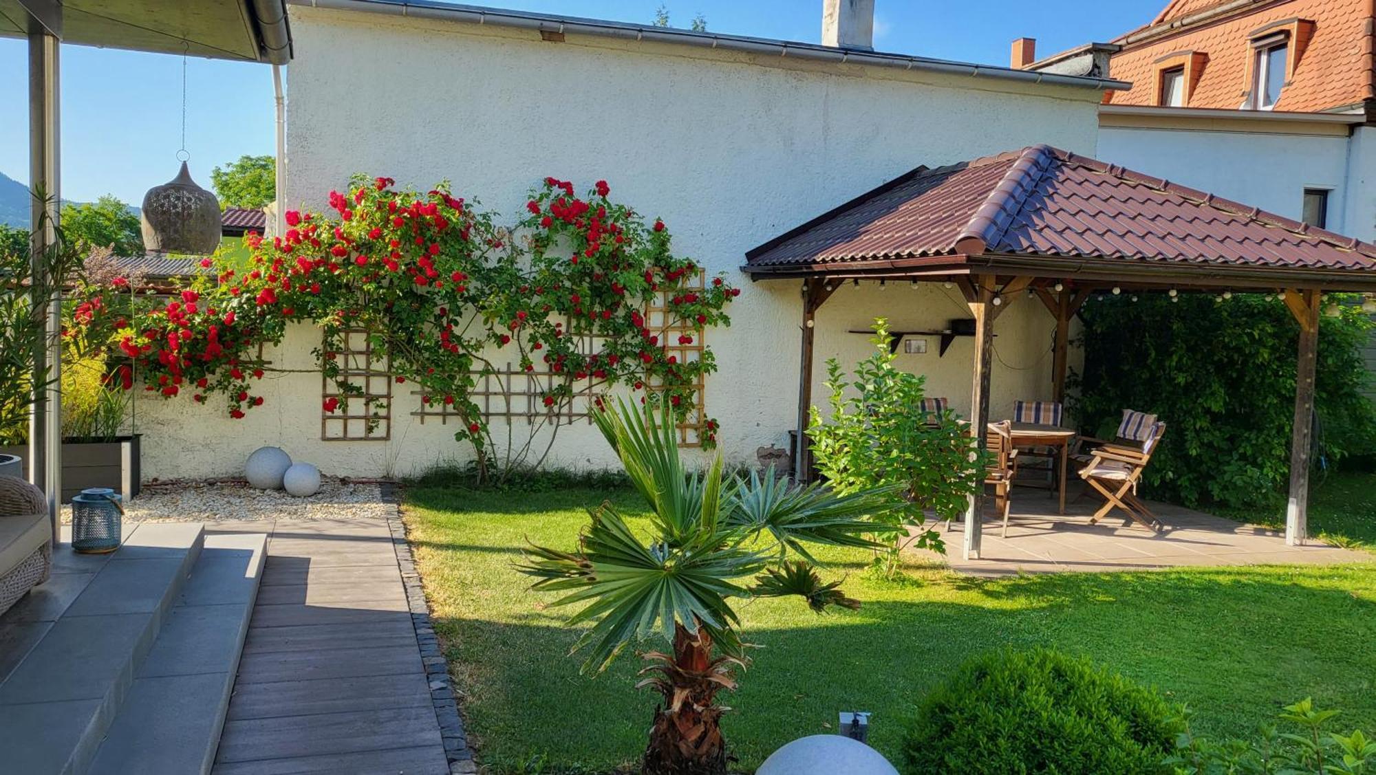 Apartments Am Saalebogen Mit Gartenterrasse, Grillkamin, Freie Parkplaetze Rudolstadt Esterno foto