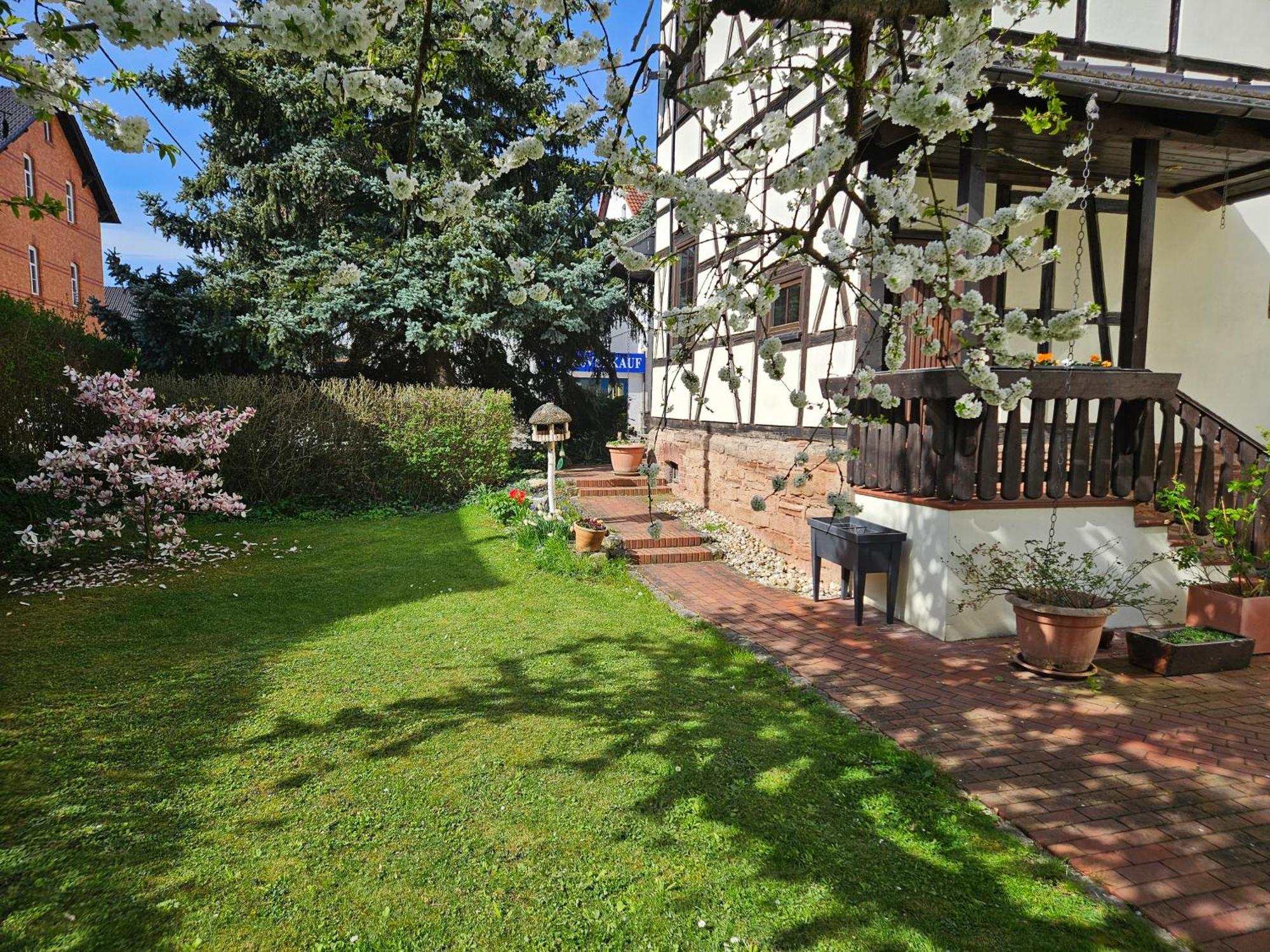 Apartments Am Saalebogen Mit Gartenterrasse, Grillkamin, Freie Parkplaetze Rudolstadt Esterno foto
